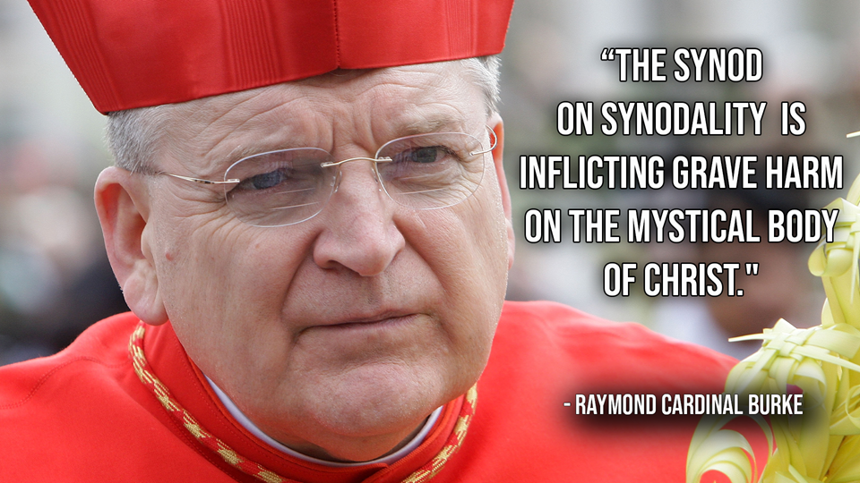 Burke synod quote
