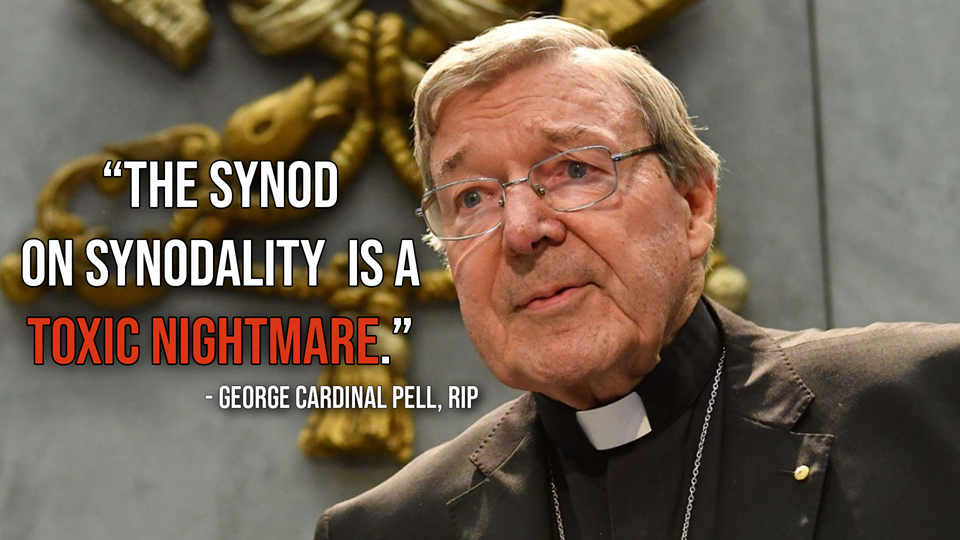 pell synod quote