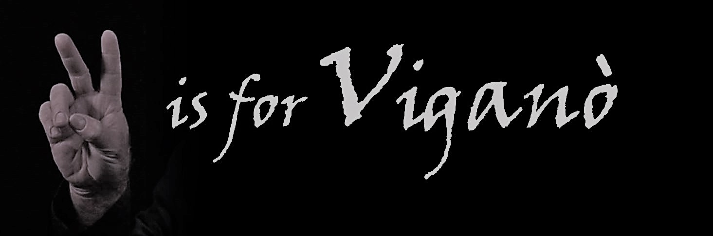 V is Vigano GOOD 2