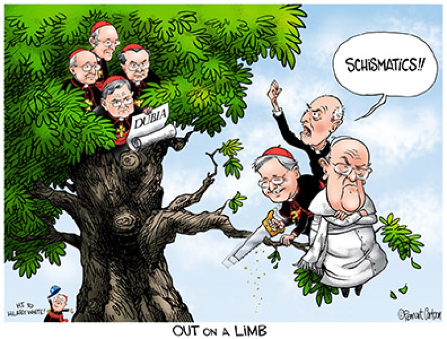 "Out on a Limb"