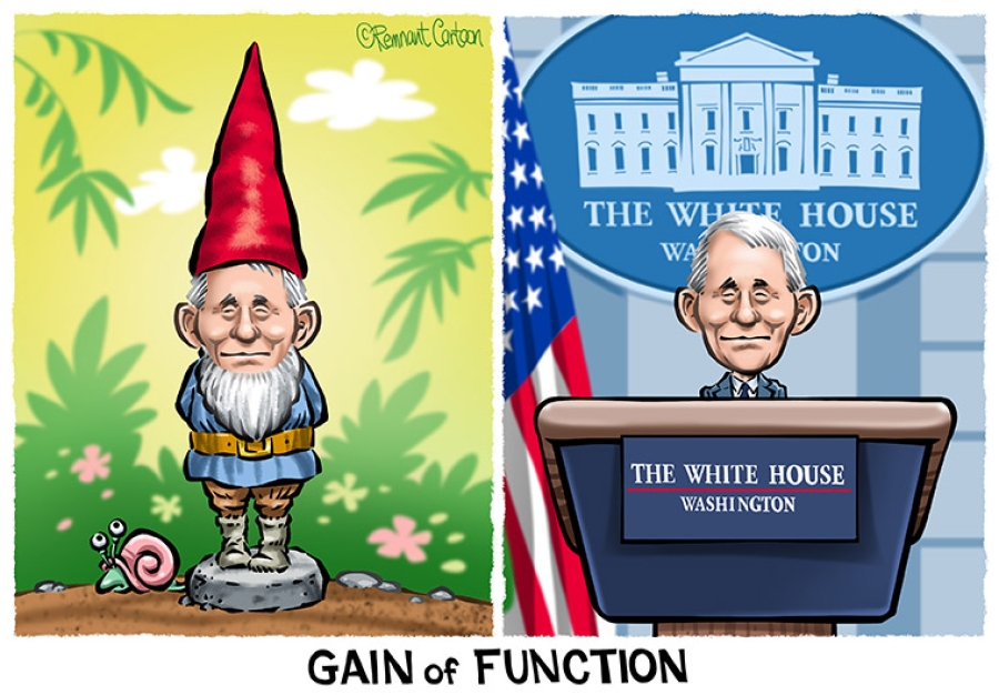 "Gain of Function"